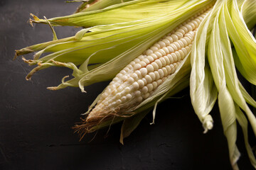 Corn, is the cereal with the highest production in the world, widely used in the gastronomy of...