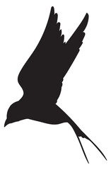 Flying swallow silhouette. Black bird wings symbol