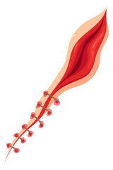 Injured skin. Bloody cut with surgical stitches. Body scar