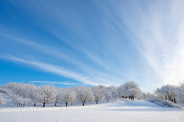 Curved path in peaceful winter landscape against blue sky on sunny morning