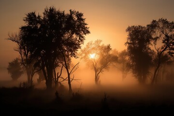 Fototapeta na wymiar the sun is shining through the trees in the foggy forest. generative ai