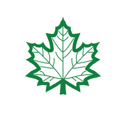 Green maple leaf icon outlined vector illustration.