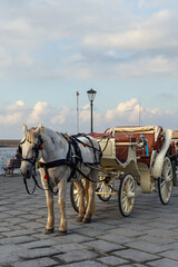 Cart with a horse for tourists in the port of the Greek city of Chania - 584420947