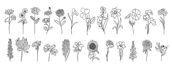 Realistic flowers line art set. Perfect for illustrations.