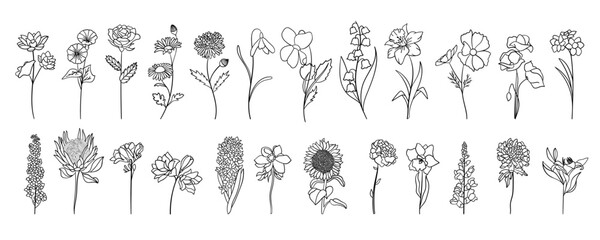 Realistic flowers line art set. Perfect for illustrations.