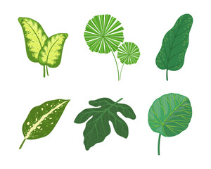 Naklejka na ściany i meble Tropical Leaf on Stem as Exotic Flora Vector Illustration Set