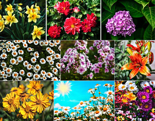 set of Illustration of bright multicolored floral nature backgro