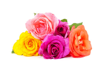Many different roses.