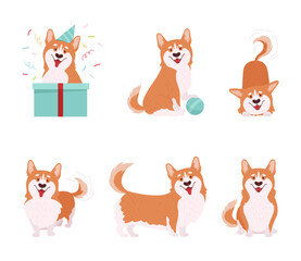 Welsh Corgi with Short Legs and Brown Coat in Different Pose Vector Set