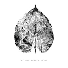 Vector abstract floral print. Black and white template image for card, poster.