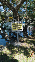 Ilha Praia Paisagem Natureza Paradisiaca Floripa Barra da Lagoa Florianopolis Santa Catarina Litoral Canal Mar Oceano Atlantico Trilha Pedras Rochas Verão Brasileiro Brasil Turismo Turístico Temporada