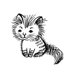 Funny cat sketch. Illustration on white background. Hand drawing cat.