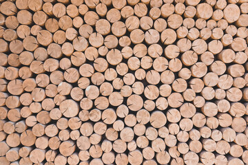 Wood cut texture with tree rings. Decorative wall Background