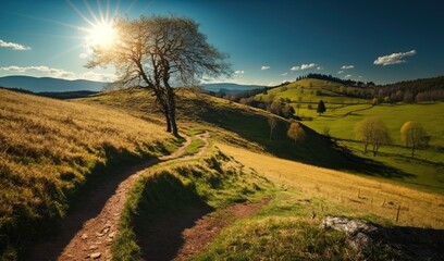 Obraz premium the sun is shining over a grassy hill with a tree. generative ai