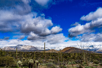 The clouds blend with the snow covered mountains above the Sonoran desert in Arizona