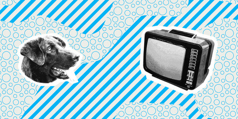 Contemporary digital collage art. Modern trippy design. Retro tv news and funny dog head