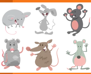 Fotobehang funny cartoon mice animals species characters set © Igor Zakowski