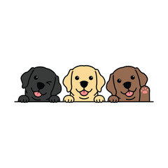 Cute labrador retriever puppy three different colors cartoon, vector illustration
