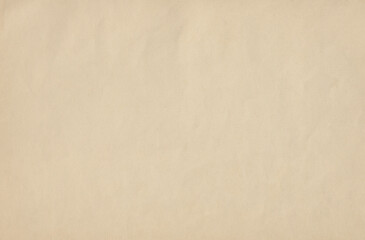 A paper sheet texture, old clean page with crumples showing signs of aging, sepia faded color, nostalgic vibes.
