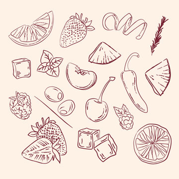 Set of vector illustrations of fruit for making cocktails hand-drawn. vintage fruit illustration for menus