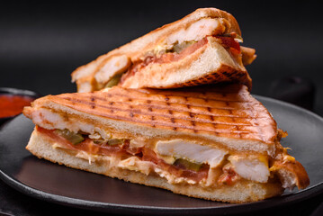 Delicious crispy sandwich with chicken breast, tomatoes, ketchup and spices