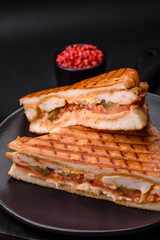 Delicious crispy sandwich with chicken breast, tomatoes, ketchup and spices
