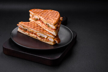 Delicious crispy sandwich with chicken breast, tomatoes, ketchup and spices
