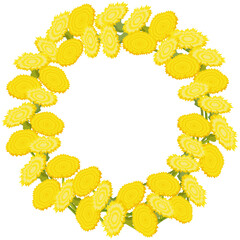 Round frame of yellow dandelion flowers on a white background. Seasonal floral vector illustration with copy space.