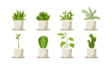 Potted leaf and flower plants set. Houseplants, succulents, cactus, ficus, monstera growing in planters, flowerpots, vase. Home green decoration. Flat vector illustrations isolated on white background