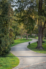 Fototapeta na wymiar path in the park, with tall old evergreen trees, europe, croatia