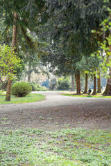 path in the park, with tall old evergreen trees, europe, croatia