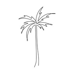 PALM TREE LINE ART. Vector palm. Graphic Design print poster, card, tattoo. Tropical palm tree Continuous Linear Drawing. Single line art. Summer One Line Hand Drawn Illustration on White Background.