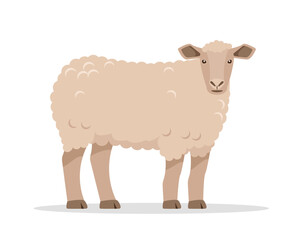 Female farm animal sheep icon. Wool production. Sheep isolated on white background. Vector flat or cartoon illustration.