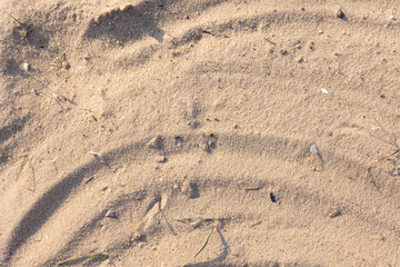 Sandy soil background. The texture of the sand.