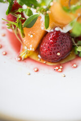 gourmet meal appetizer