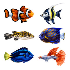 Fototapeta premium A set of tropical marine fish. Underwater world, digital illustration. For design, packaging, printing, posters, postcards, textiles souvenirs