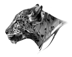 painted leopard face on a white background