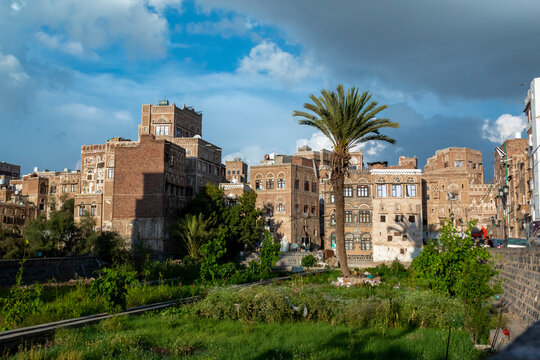 Vegetable garden among traditional architecture . Inhabited for more than 2.500 years, the Old City of Sanaa is a UNESCO World Heritage City