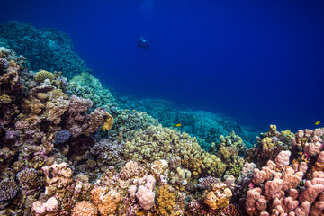 Naklejka na ściany i meble Korallenriff mit Silhouette eines Tauchers im Hintergrund