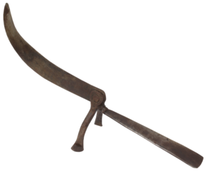 A unique cutting instrument Boti of Indian subcontinent