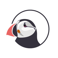 Atlantic Puffin bird cartoon style. Puffin bird head flat vector illustration isolated on white background. Design for logo, sign or symbol. Vector illustration