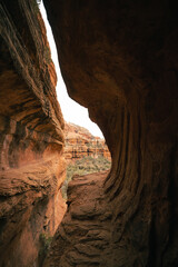 Vertical view of popular Subway Cave in Boynton Canyon Sedona Arizona.