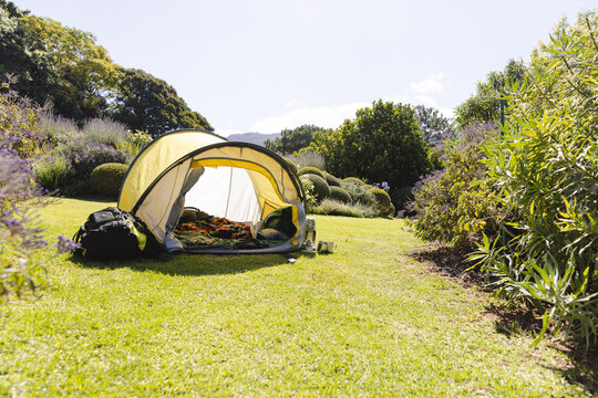 General view od garden with tent, green plants, grass and ble sky