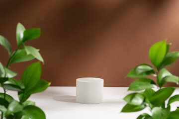 Empty white podium, green branches with soft shadows on brown background. Eco backdrop with round pedestal and fresh leaves. Display or showcase for product presentation. Beauty and spa concept.