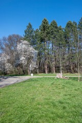 Spring view of South Park in city of Sofia, Bulgaria