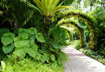A walking path under a beautiful arches near National Orchid Garden, Singapore © Khairil