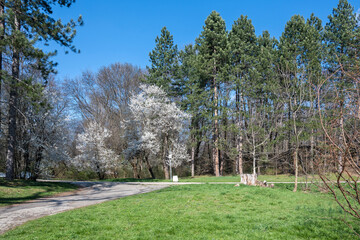 Spring view of South Park in city of Sofia, Bulgaria