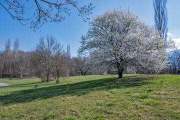 Spring view of South Park in city of Sofia, Bulgaria
