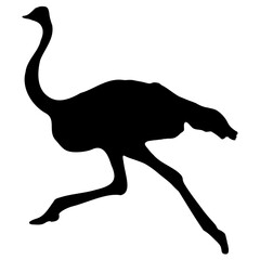Ostrich silhouette. Vector illustration isolated on white background. Animal. Wildlife.