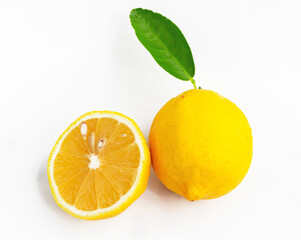 lemon citrus fruit isolated on white background.